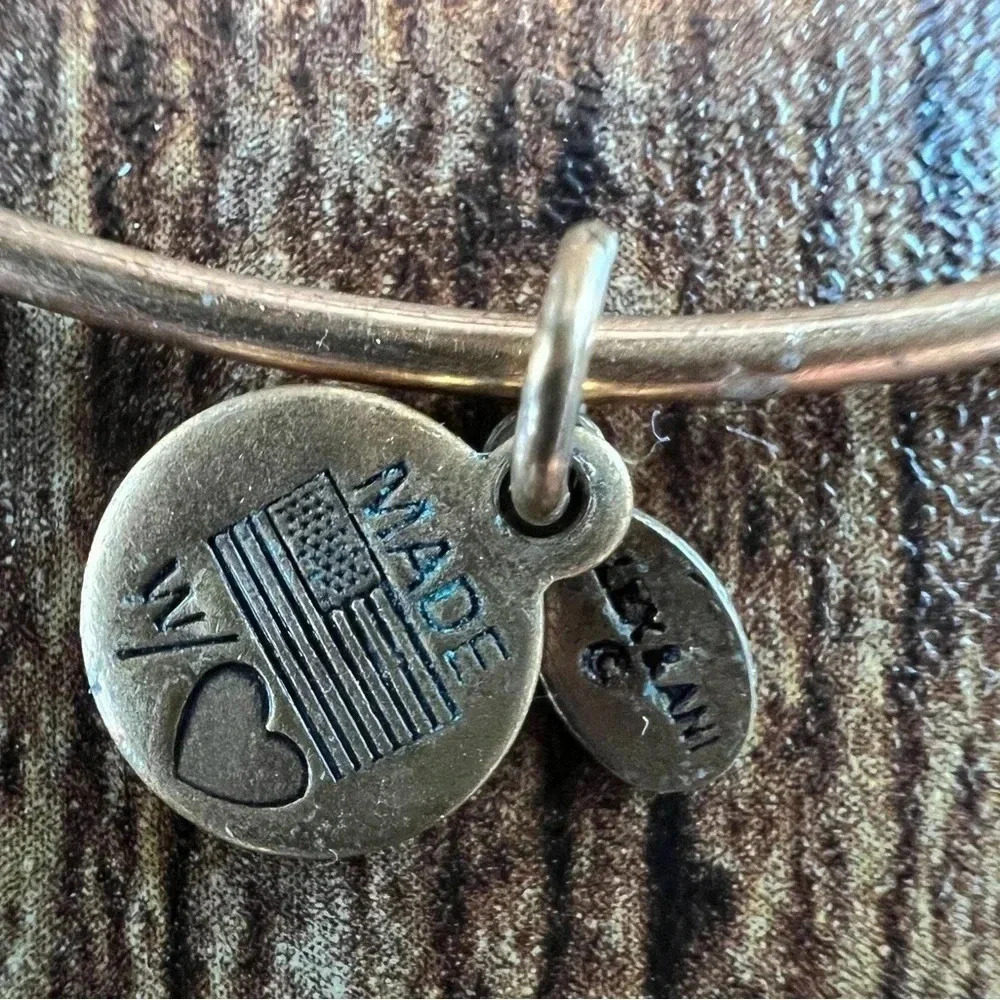 RETIRED: Alex and Ani | Class of 2013 charm bracelet - Picture 8 of 14
